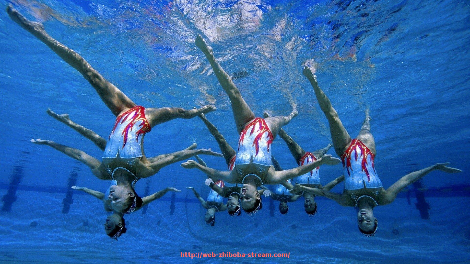 直播吧-健身器材圈式攀爬架的训练价值与儿童拓展功能